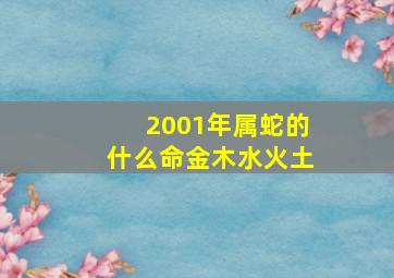 2001年属蛇的什么命金木水火土