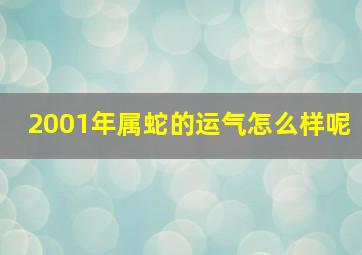 2001年属蛇的运气怎么样呢