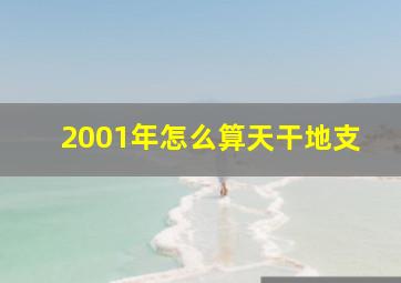 2001年怎么算天干地支