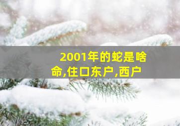 2001年的蛇是啥命,住口东户,西户