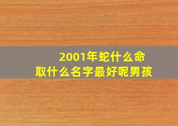 2001年蛇什么命取什么名字最好呢男孩