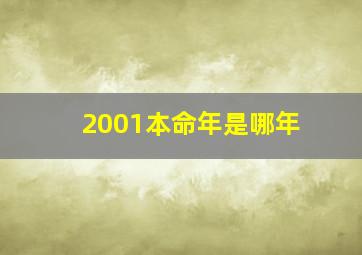 2001本命年是哪年