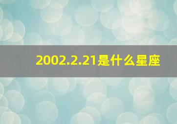 2002.2.21是什么星座