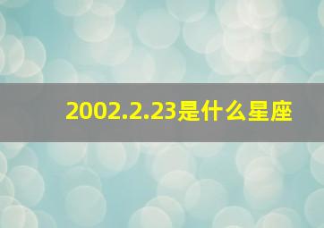 2002.2.23是什么星座