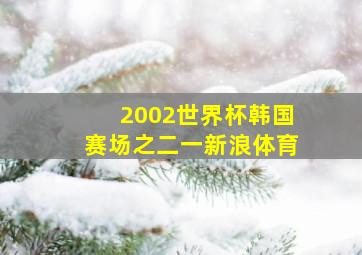 2002世界杯韩国赛场之二一新浪体育