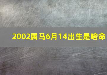 2002属马6月14出生是啥命