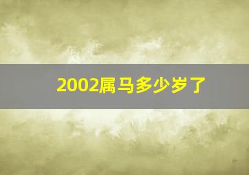 2002属马多少岁了