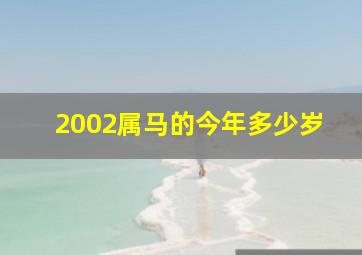 2002属马的今年多少岁