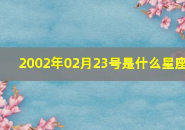 2002年02月23号是什么星座