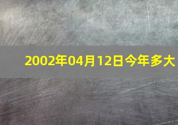 2002年04月12日今年多大