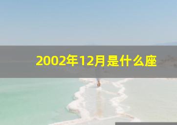 2002年12月是什么座