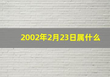 2002年2月23日属什么