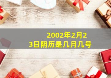 2002年2月23日阴历是几月几号