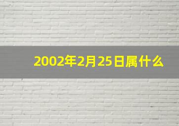 2002年2月25日属什么