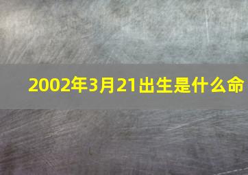 2002年3月21出生是什么命