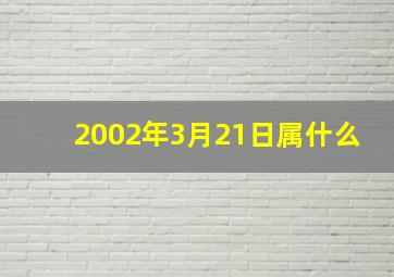 2002年3月21日属什么