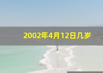 2002年4月12日几岁