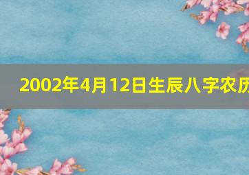 2002年4月12日生辰八字农历