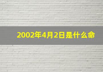 2002年4月2日是什么命