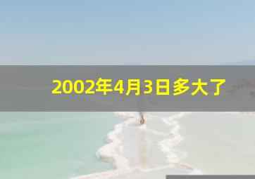 2002年4月3日多大了