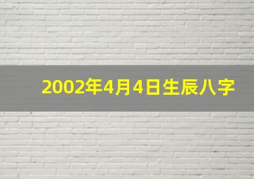 2002年4月4日生辰八字