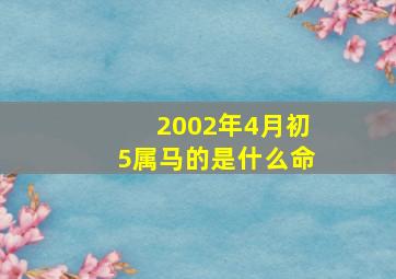 2002年4月初5属马的是什么命