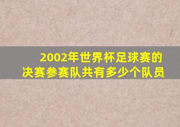 2002年世界杯足球赛的决赛参赛队共有多少个队员