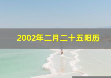 2002年二月二十五阳历