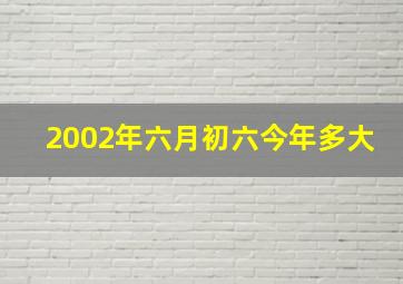 2002年六月初六今年多大