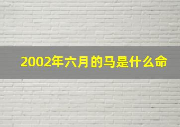 2002年六月的马是什么命