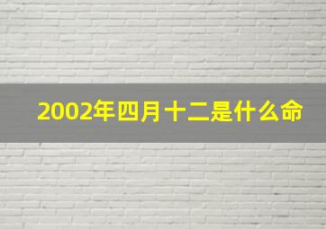 2002年四月十二是什么命