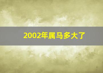 2002年属马多大了