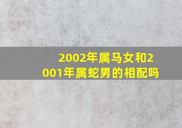 2002年属马女和2001年属蛇男的相配吗