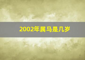 2002年属马是几岁