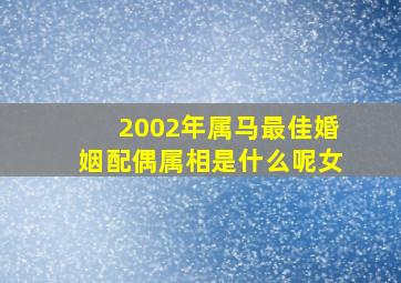 2002年属马最佳婚姻配偶属相是什么呢女