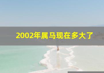 2002年属马现在多大了