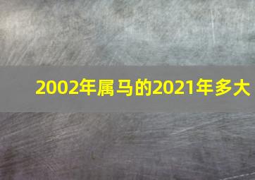 2002年属马的2021年多大