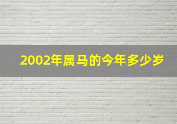 2002年属马的今年多少岁