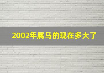 2002年属马的现在多大了