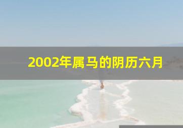 2002年属马的阴历六月