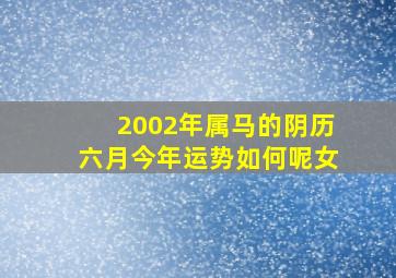 2002年属马的阴历六月今年运势如何呢女