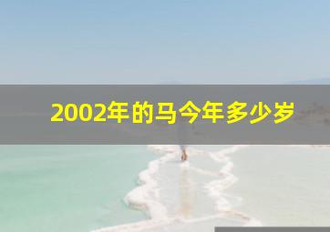 2002年的马今年多少岁