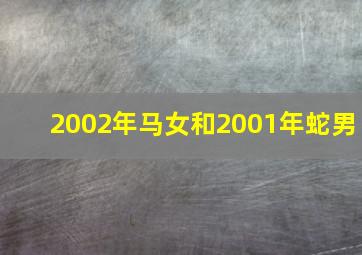 2002年马女和2001年蛇男