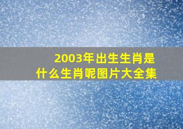 2003年出生生肖是什么生肖呢图片大全集