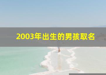 2003年出生的男孩取名