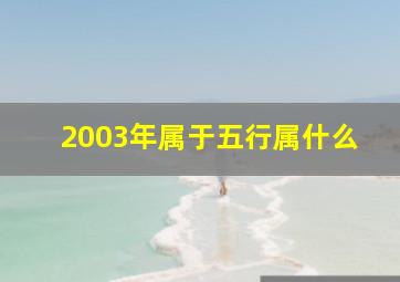 2003年属于五行属什么