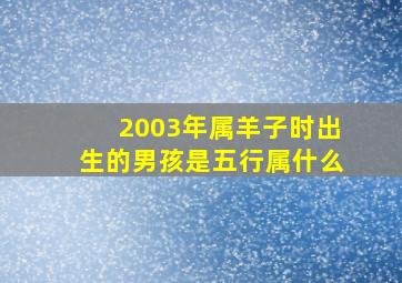 2003年属羊子时出生的男孩是五行属什么