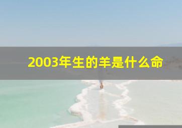 2003年生的羊是什么命