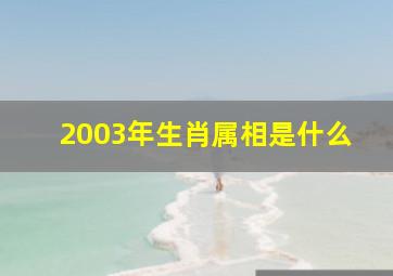 2003年生肖属相是什么