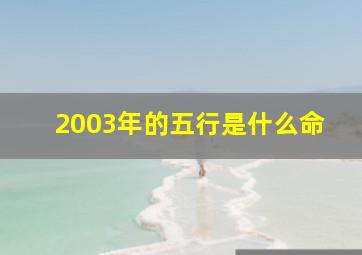 2003年的五行是什么命